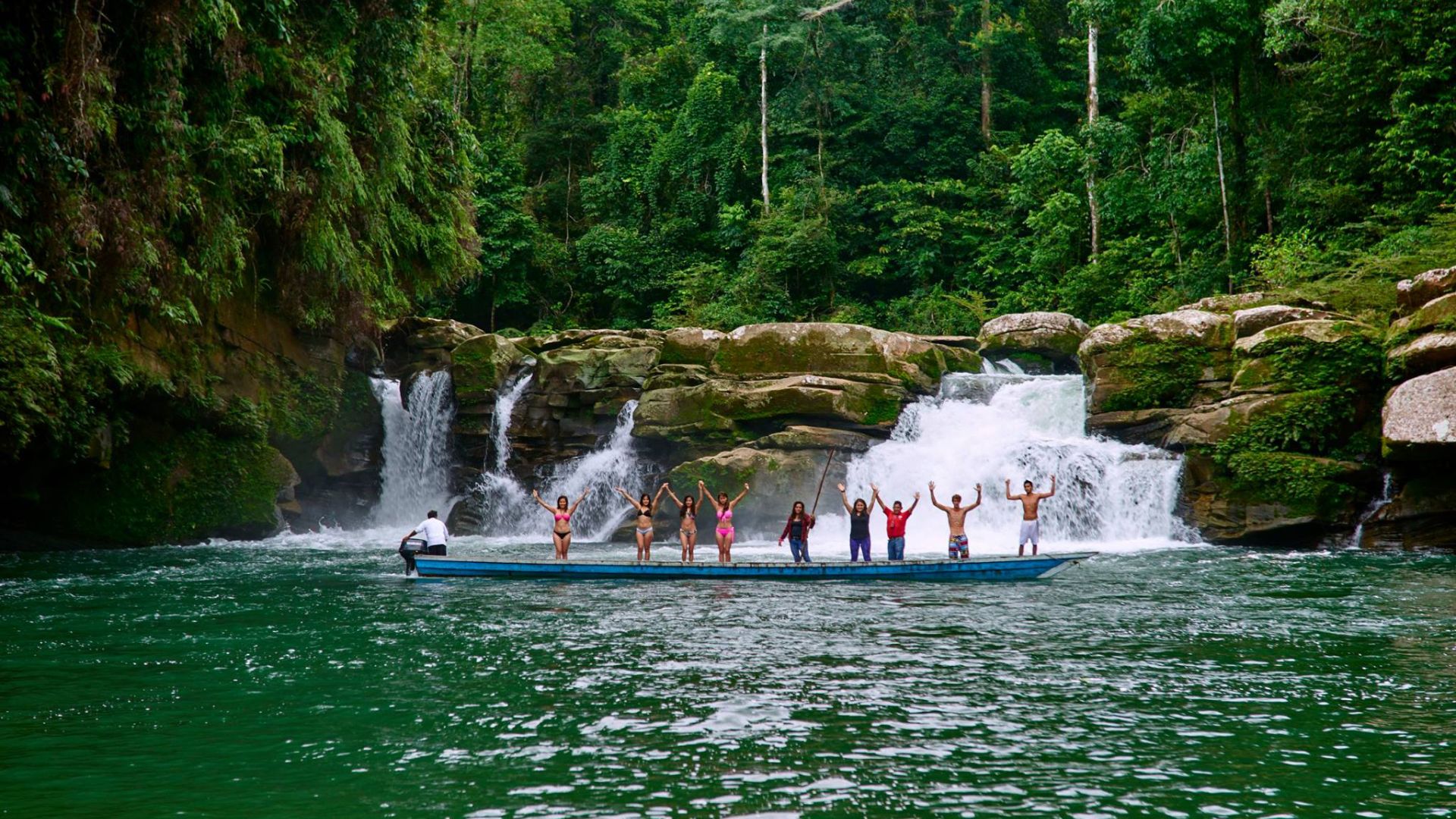 Hoja Salvaje Palcazú