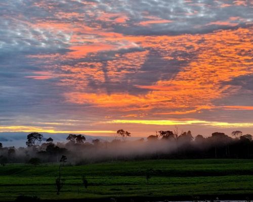 Mirador del Colibrí