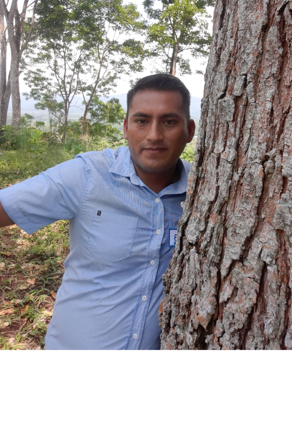 William - Hoja Salvaje Palcazú